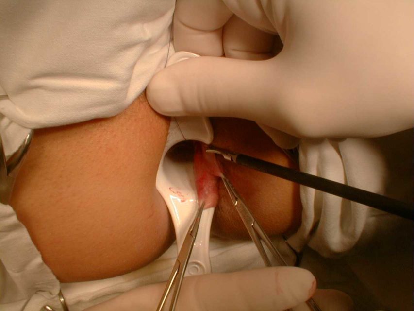 Ordinace - Klimkovice