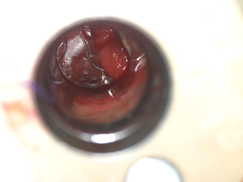 Ordinace - Klimkovice